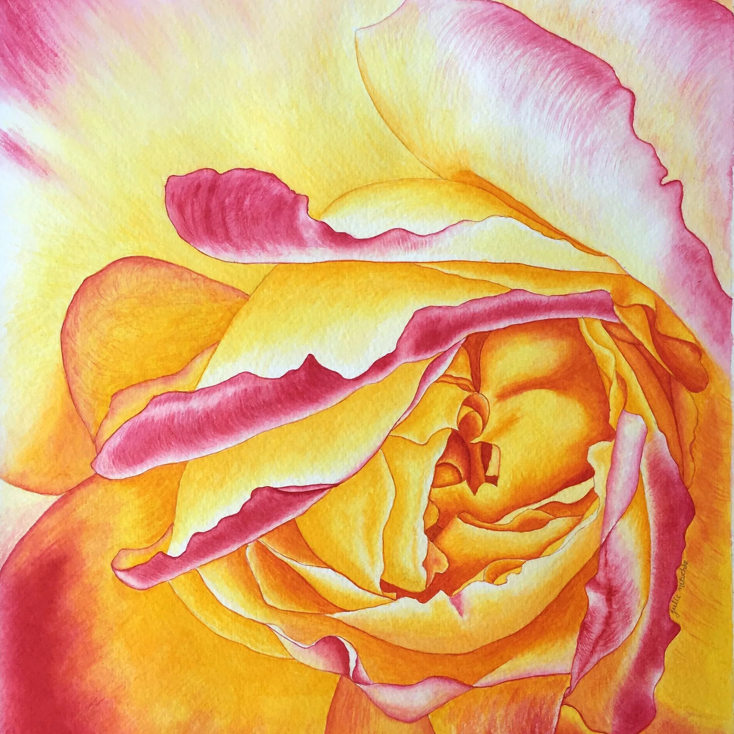 Golden+Rose.jpg