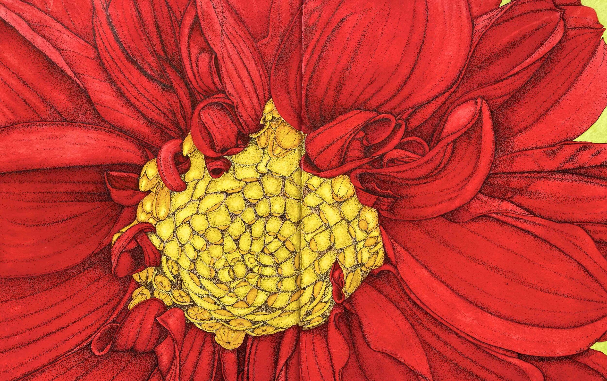 Red Dahlia.jpg