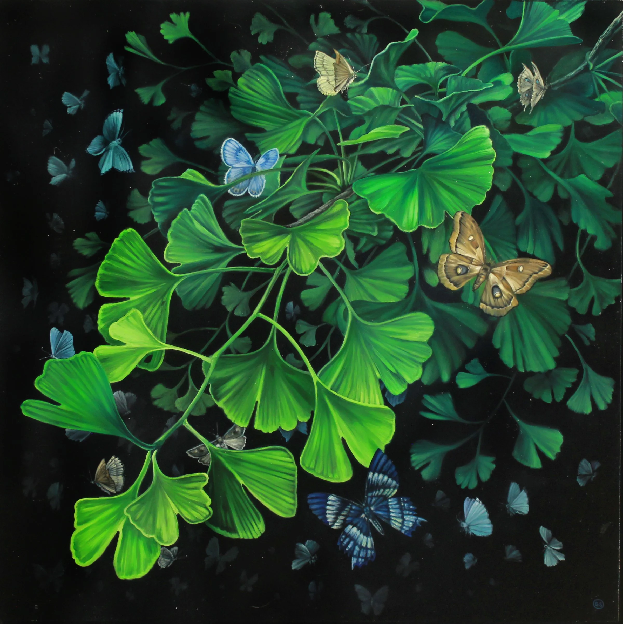 Ginkgo and the Moths #2