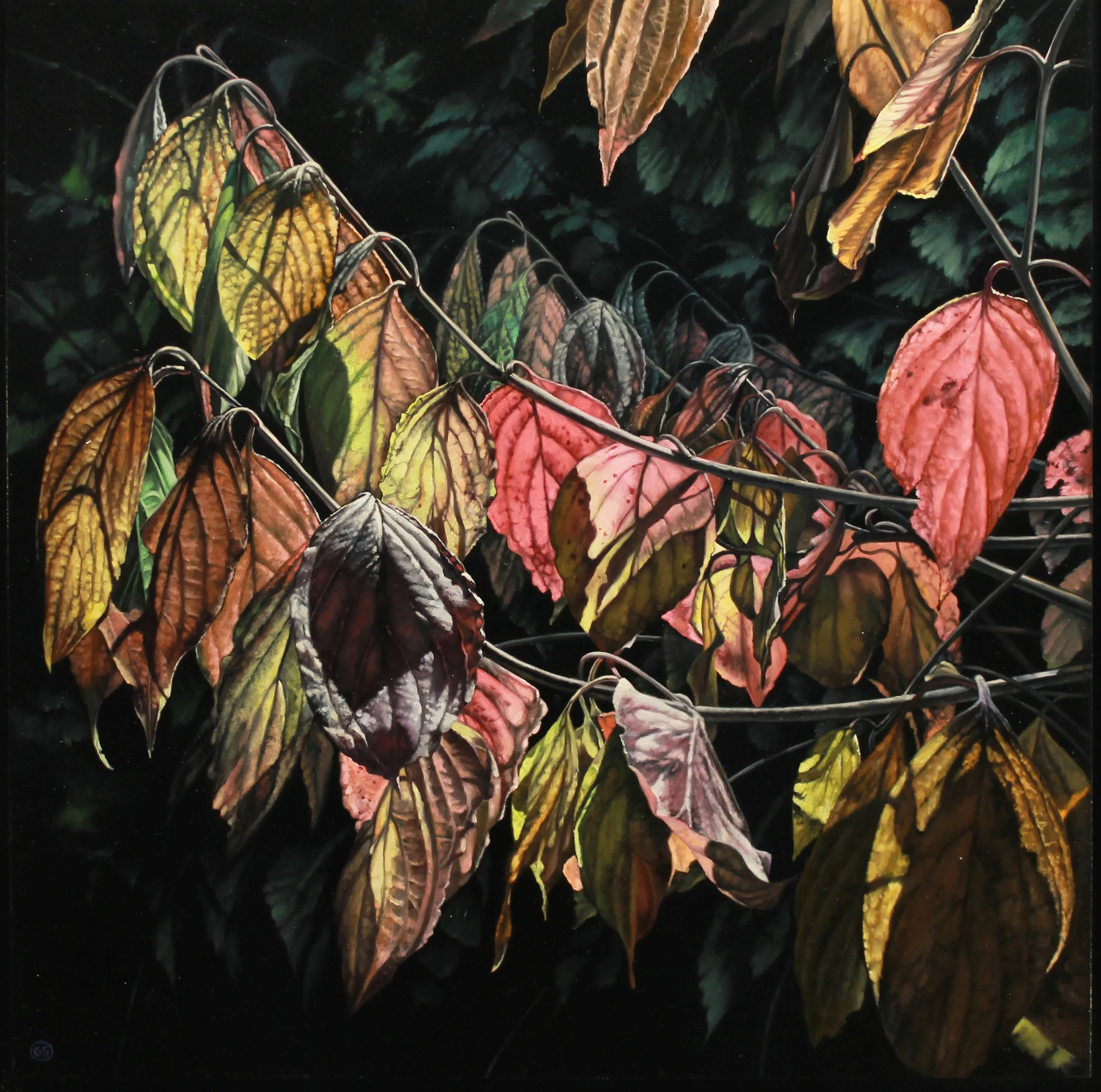 Arboretum in the fall