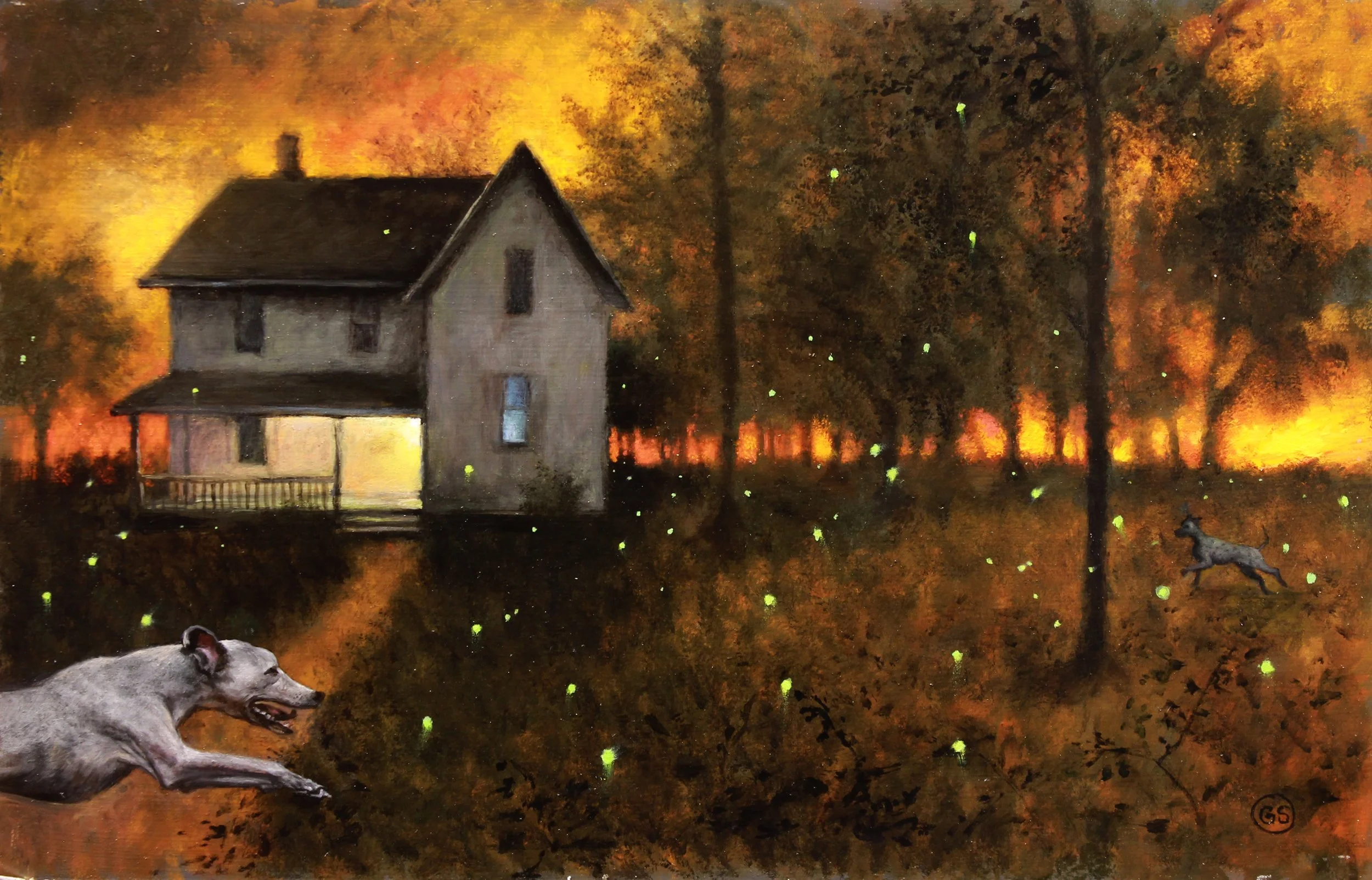 Chasing Fireflies