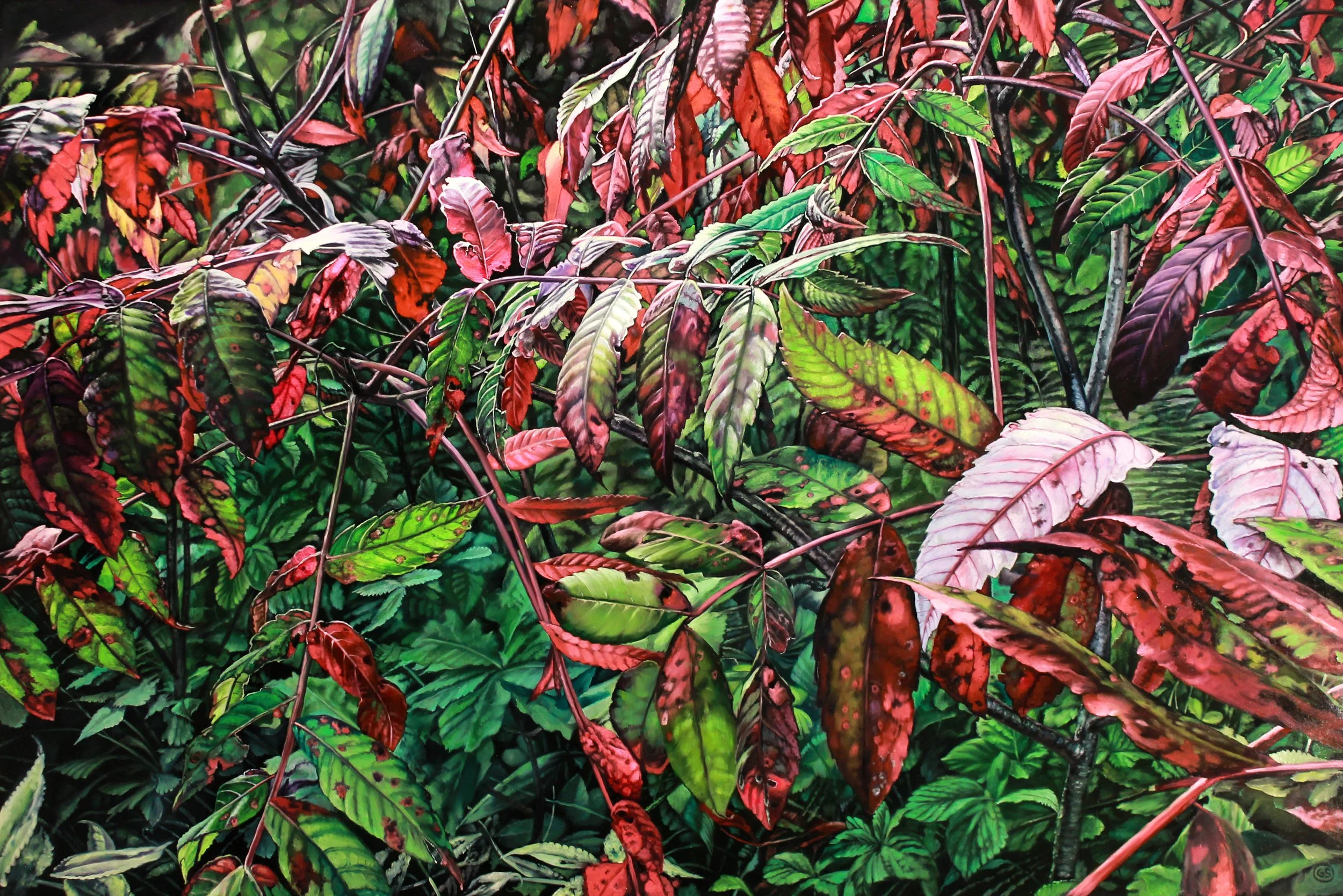 Tangled Sumac