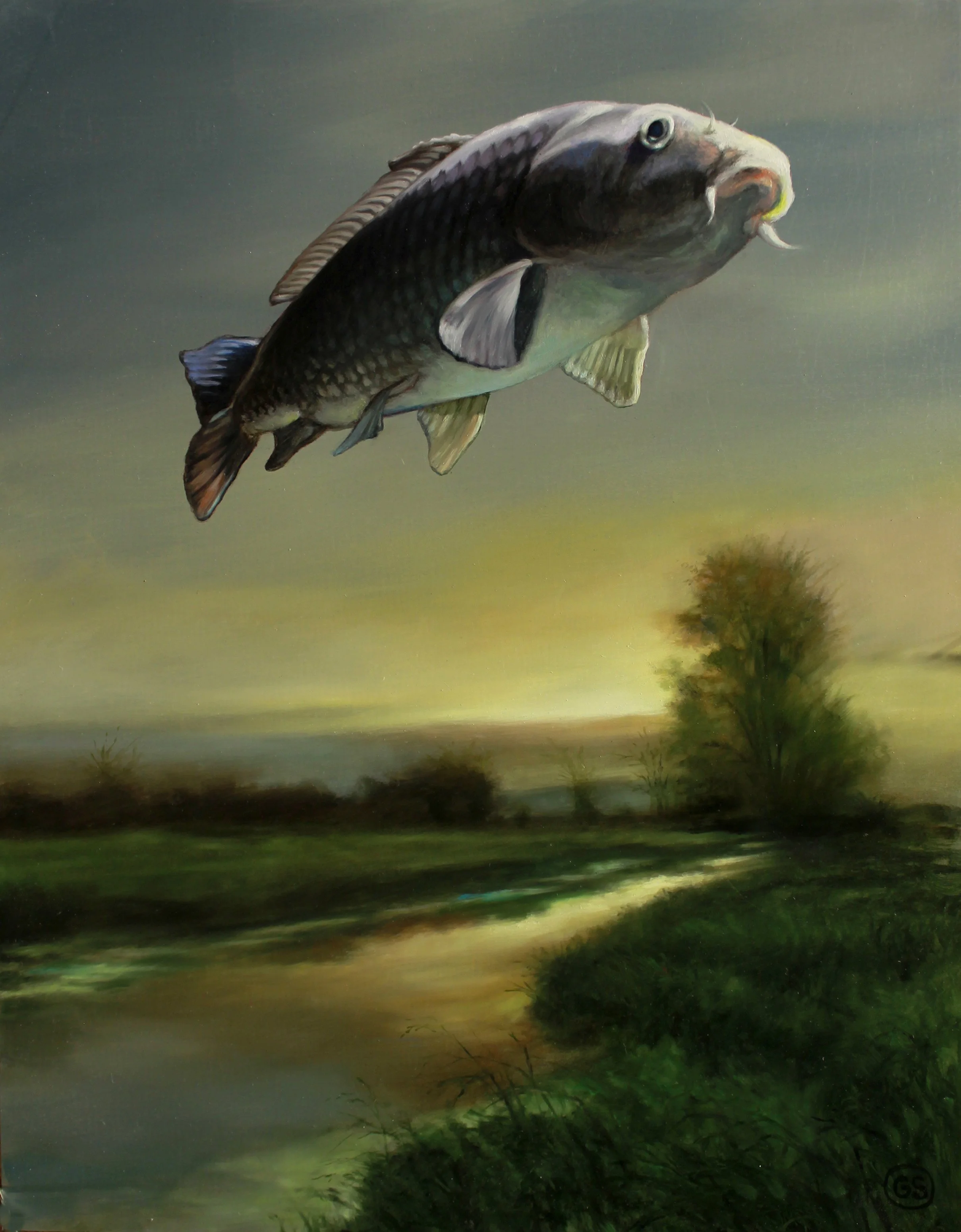 The Raptured Koi