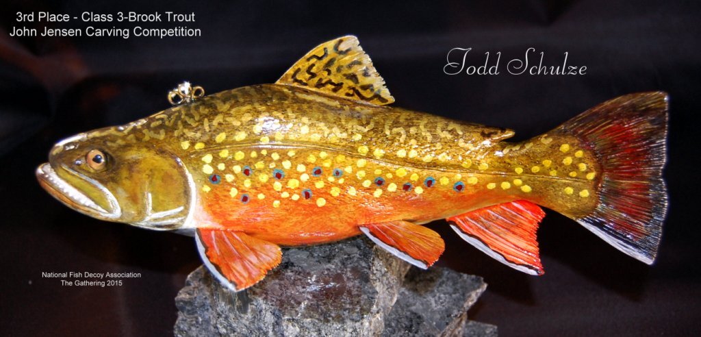 c3 3rd brook trout.jpg