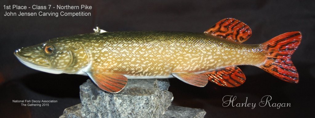 c7 1st place northern pike.jpg