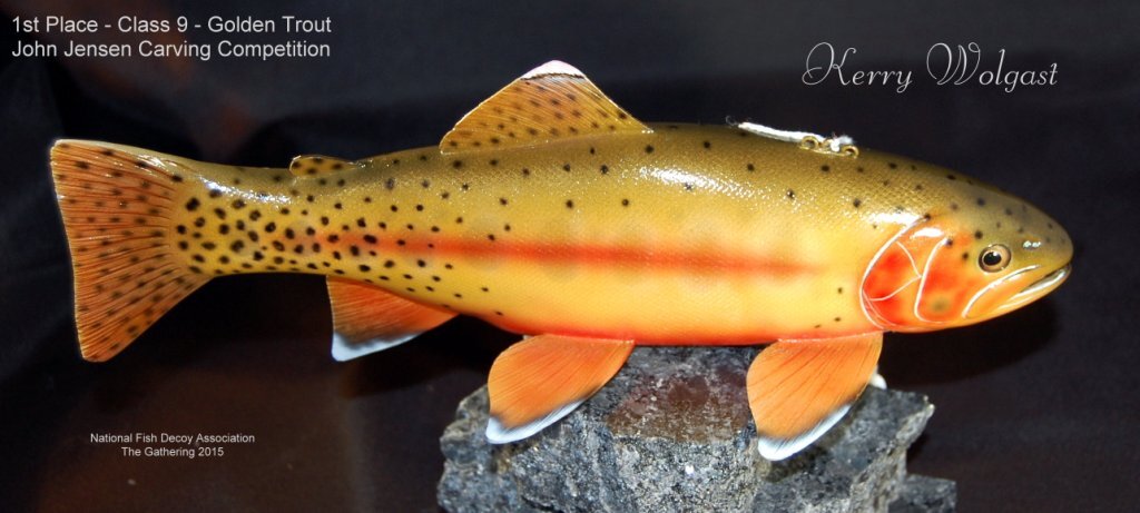 c9 1st golden trout.jpg