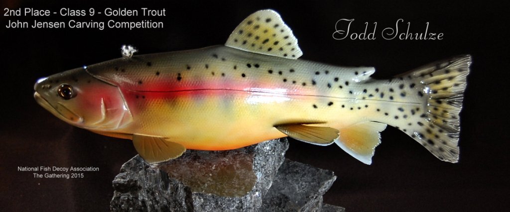 c9 2nd golden trout.jpg