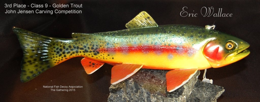 c9 3rd golden trout.jpg