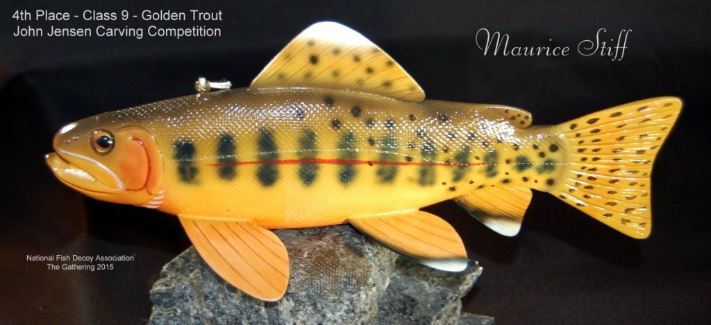 c9 4th golden trout.jpg