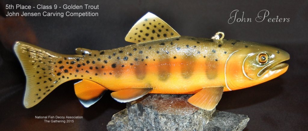 c9 5th golden trout.jpg