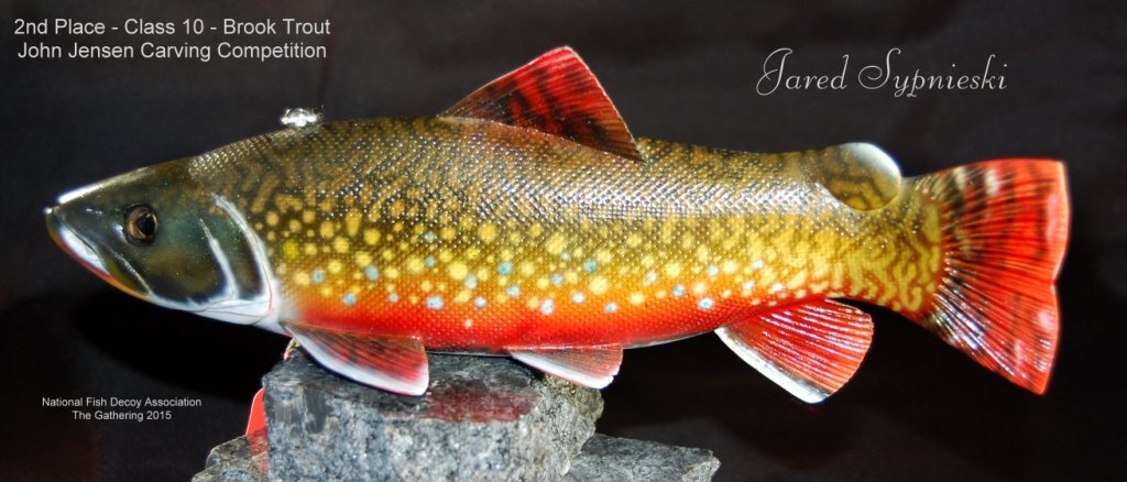 c10 2nd brook trout.jpg