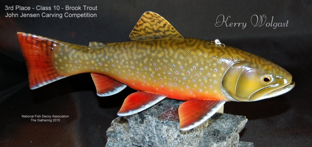 c10 3rd brook trout.jpg