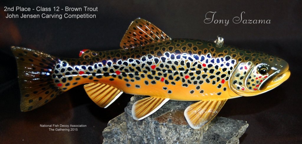 c12 2nd brown trout.jpg