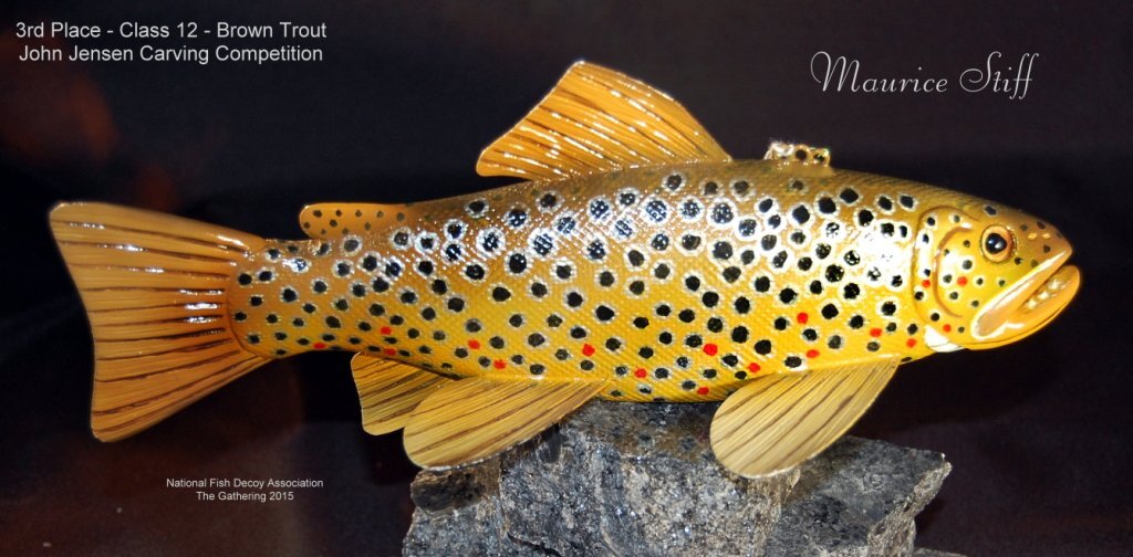 c12 3rd brount trout.jpg