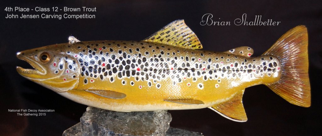 c12 4th brown trout.jpg