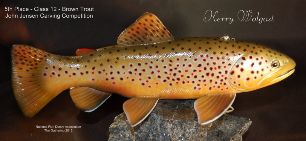 c12 5th brown trout.jpg