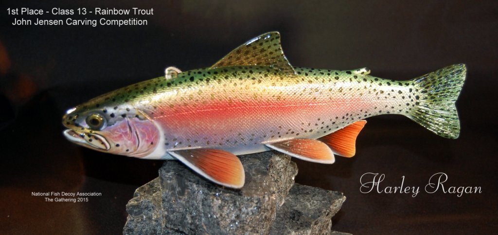 c13 1st rainbow trout.jpg