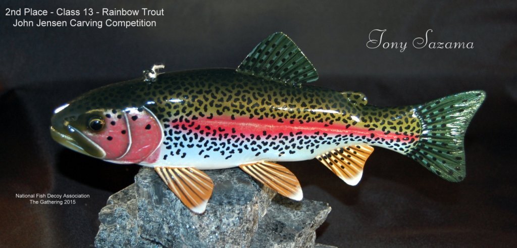 c13 2nd rainbow trout.jpg
