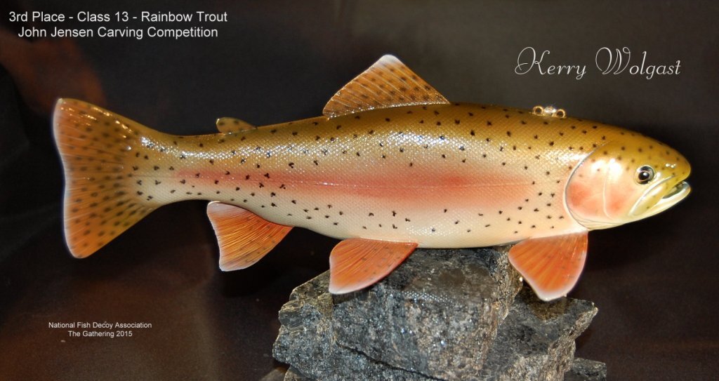 c13 3rd rainbow trout.jpg