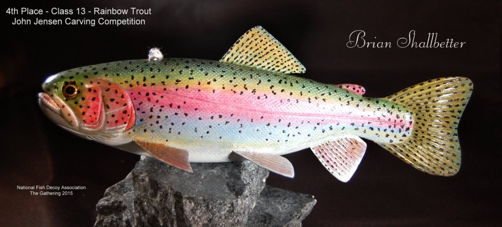 c13 4th rainbow trout.jpg