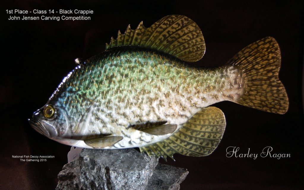 c14 1st blcrappie.jpg