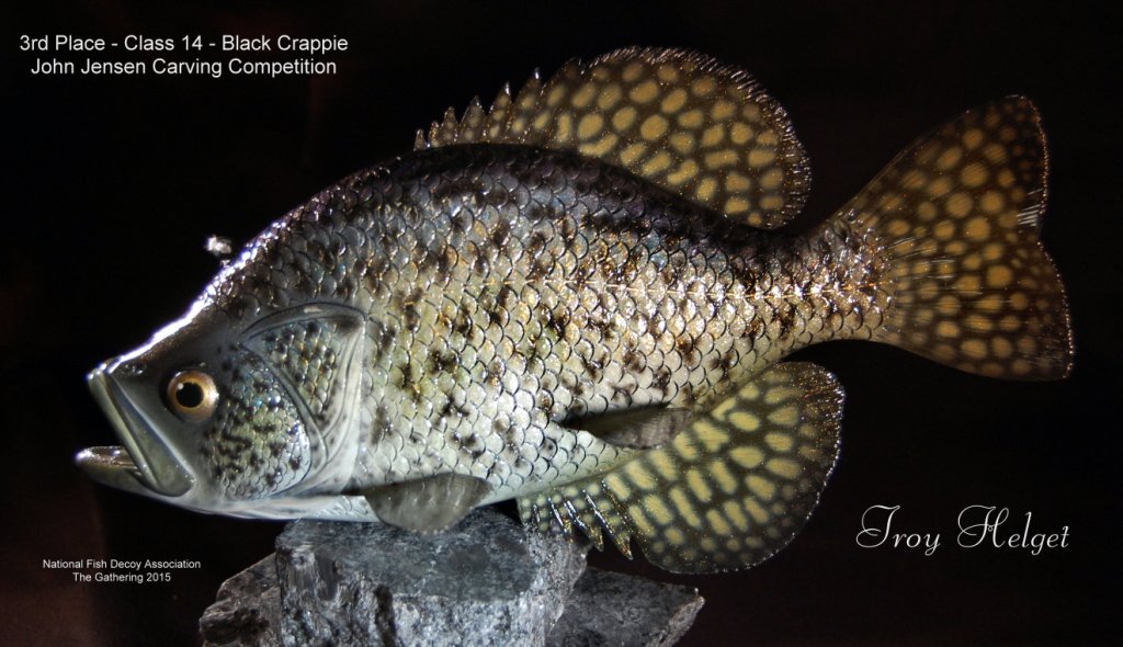 c14 3rd blcrappie.jpg