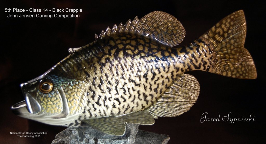 c14 5th blcrappie.jpg