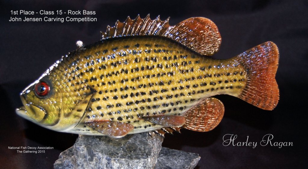 c15 1st rockbass.jpg