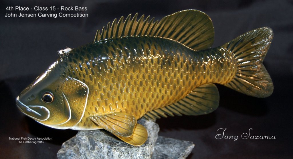 c15 4th rockbass.jpg