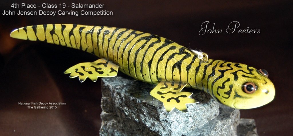 c19 4th salamander.jpg