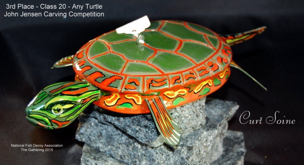c20 3rd turtle.jpg