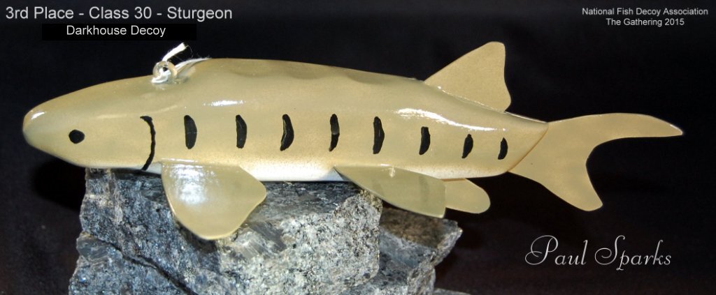 c30 3rd sturgeon.jpg