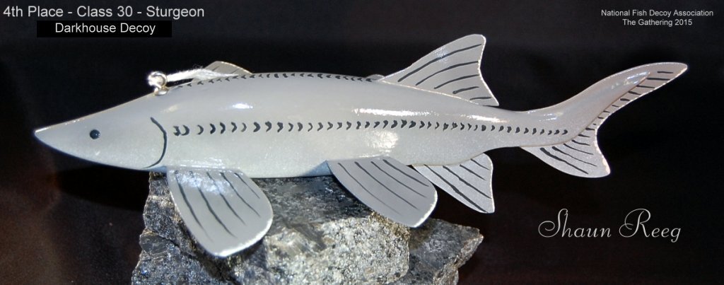 c30 4th sturgeon.jpg