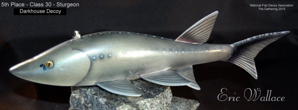 c30 5th sturgeon.jpg