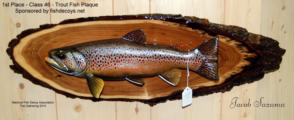 c46 1st trout.jpg