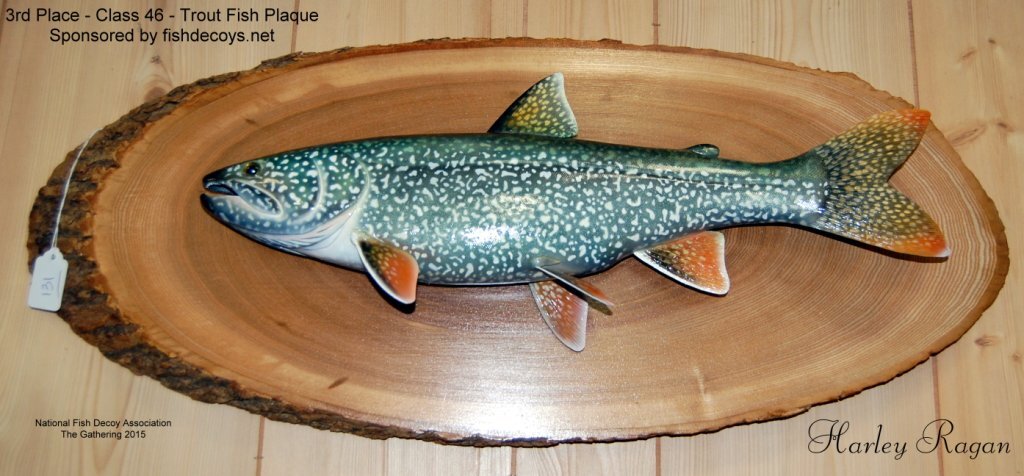 c46 3rd trout.jpg