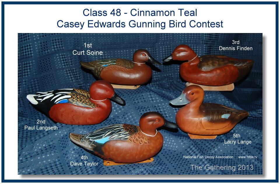 c48birdcinnamonteal.jpg