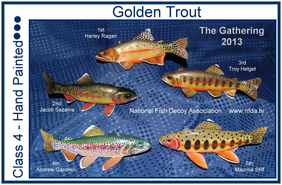 cl4goldentrout.jpg