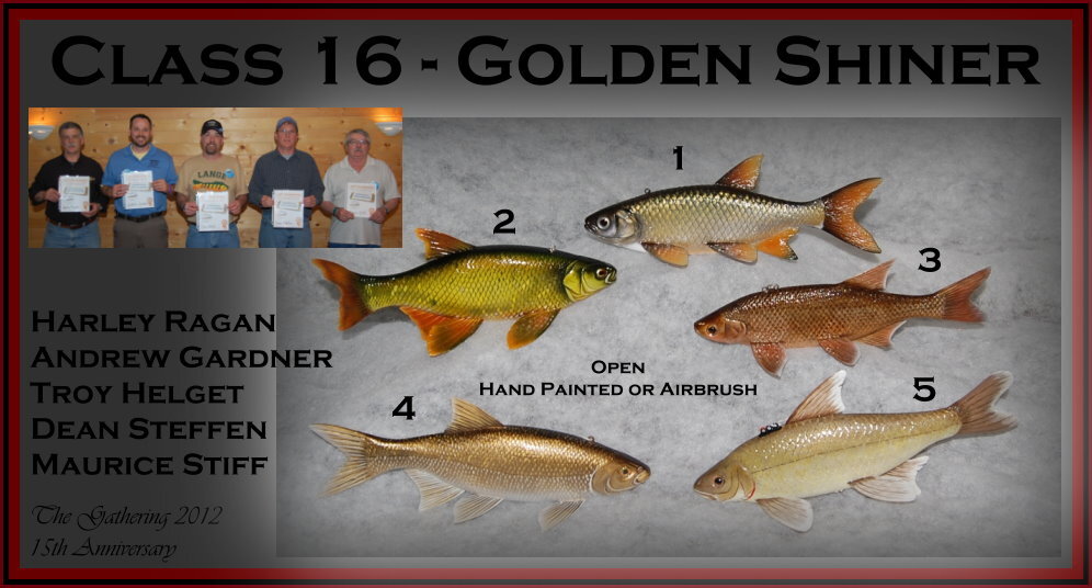 c16goldenshiner.jpg