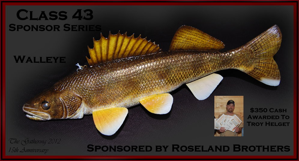 c43walleye.jpg