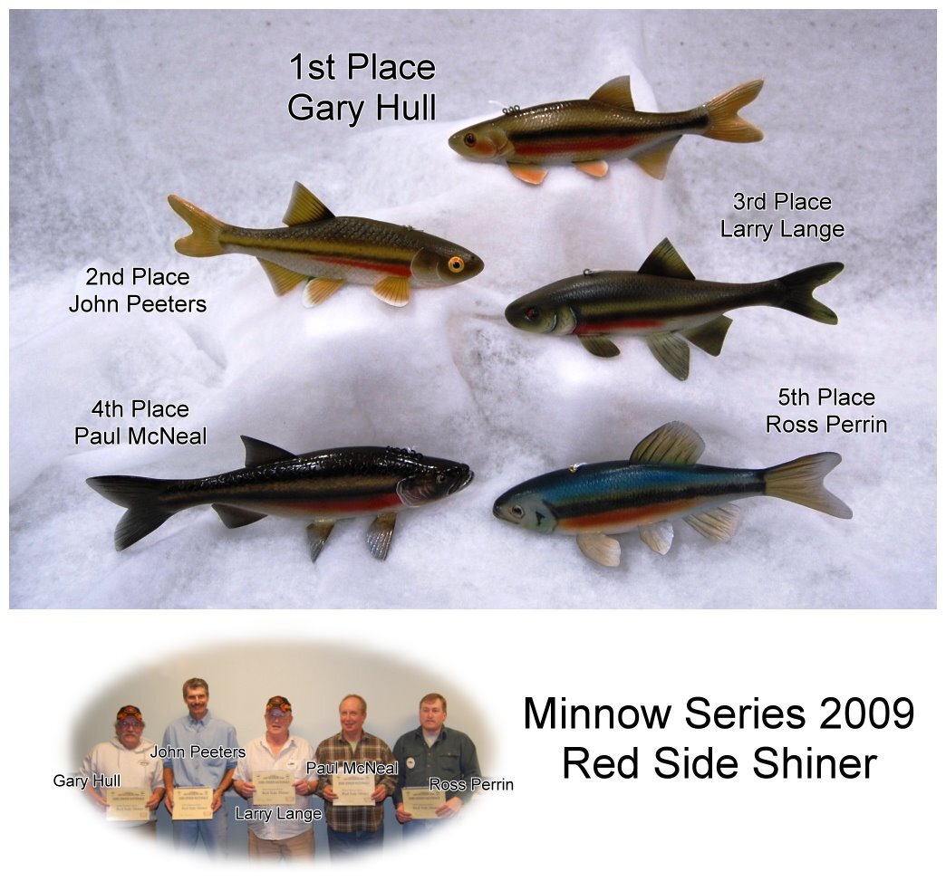 p09minnow1.JPG