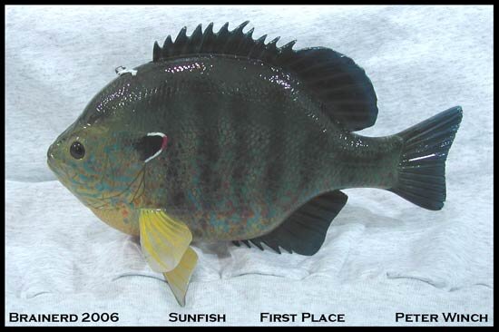 br-06-Sunfish.jpg