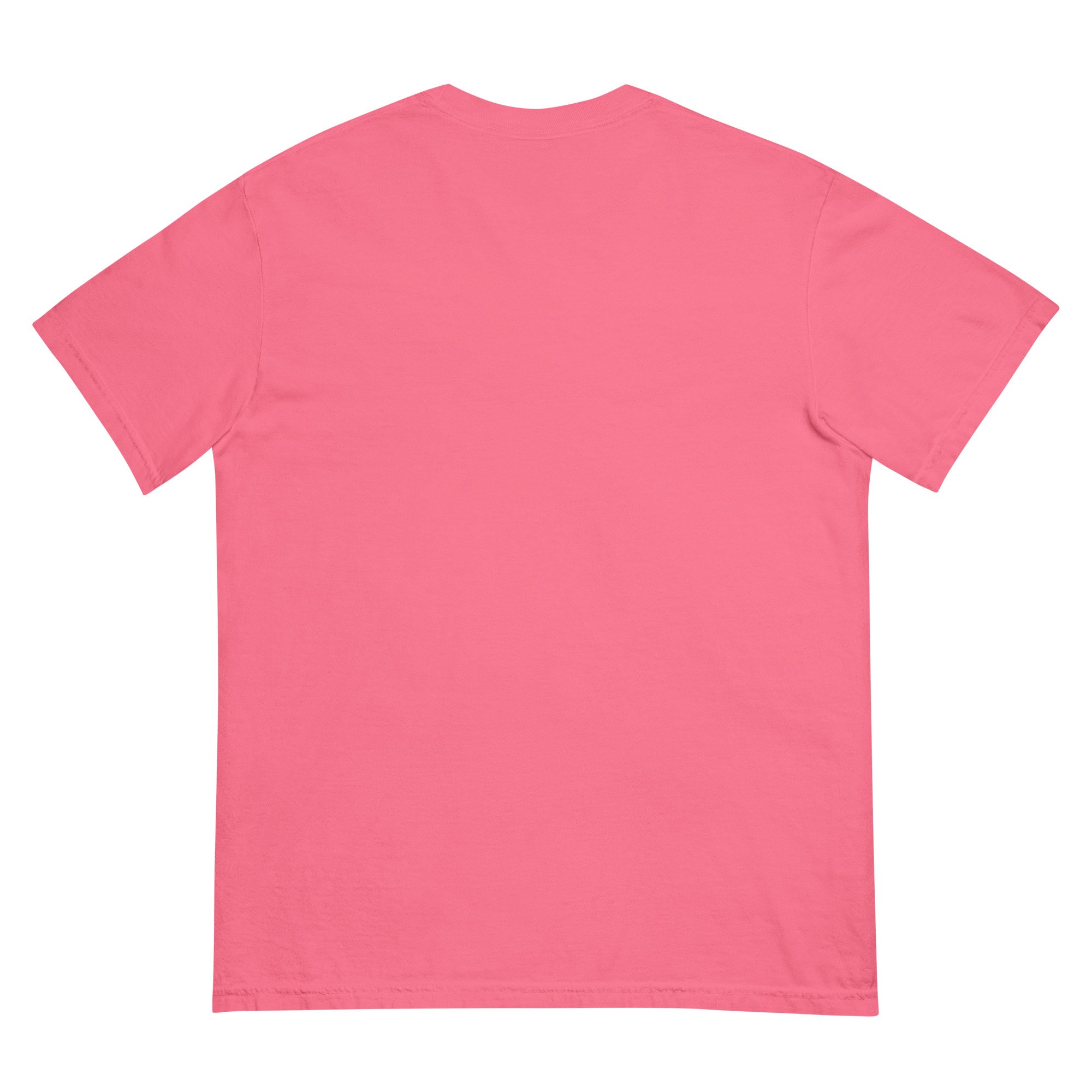 unisex-garment-dyed-heavyweight-t-shirt-crunchberry-back-695d78d4bece6.jpg