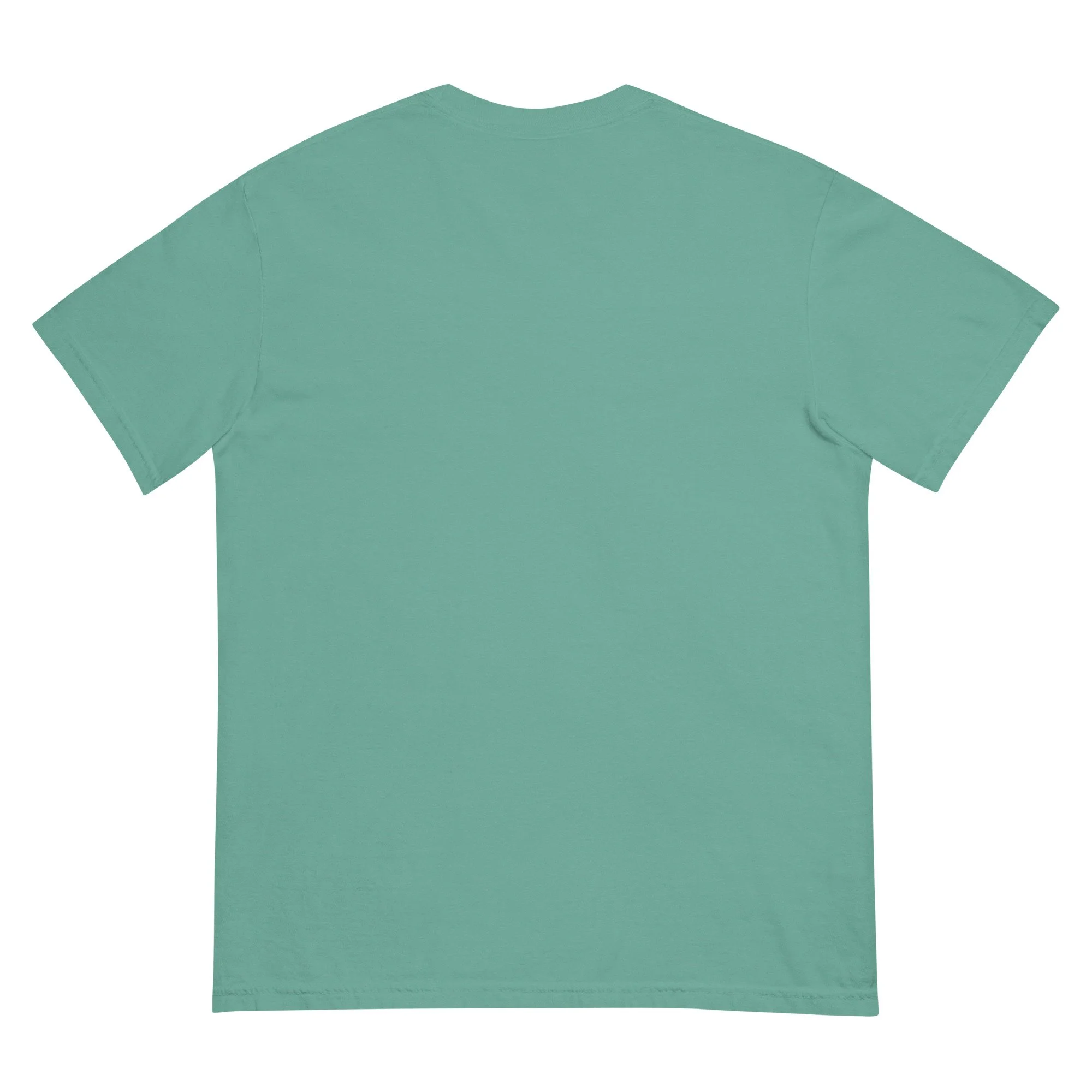 unisex-garment-dyed-heavyweight-t-shirt-seafoam-back-695d78d4c3fc5.jpg