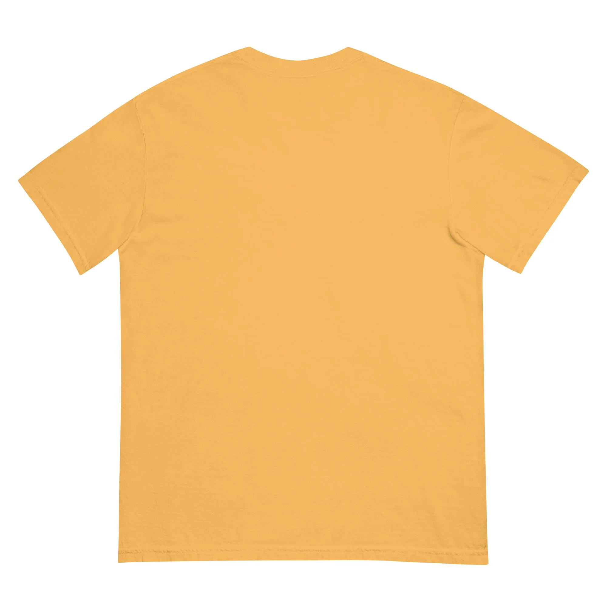 unisex-garment-dyed-heavyweight-t-shirt-mustard-back-695d78d4cac9c.jpg