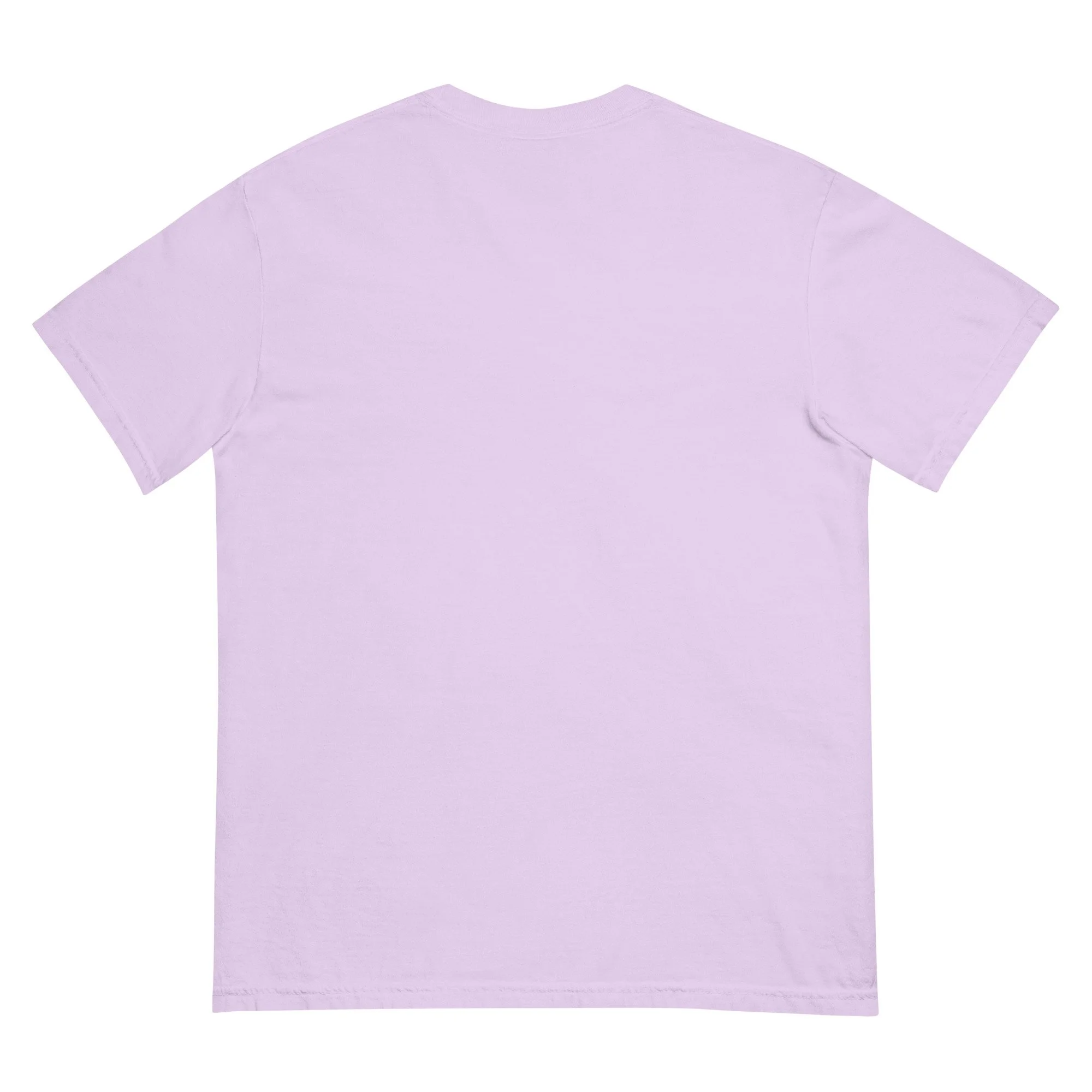 unisex-garment-dyed-heavyweight-t-shirt-orchid-back-695d78d4ddfa8.jpg