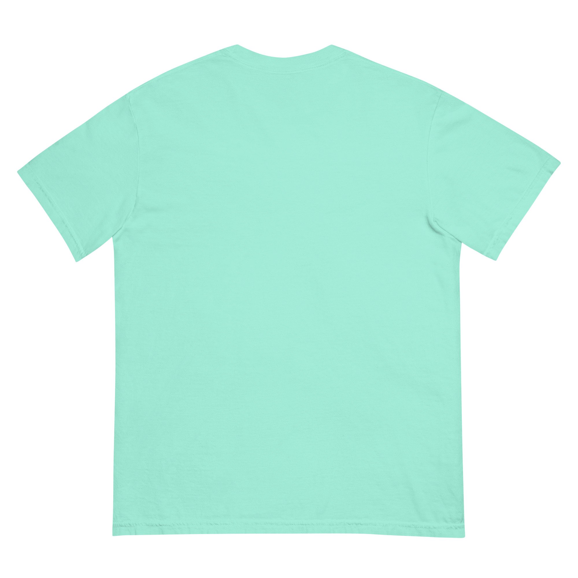 unisex-garment-dyed-heavyweight-t-shirt-chalky-mint-back-695d78d4ea67f.jpg