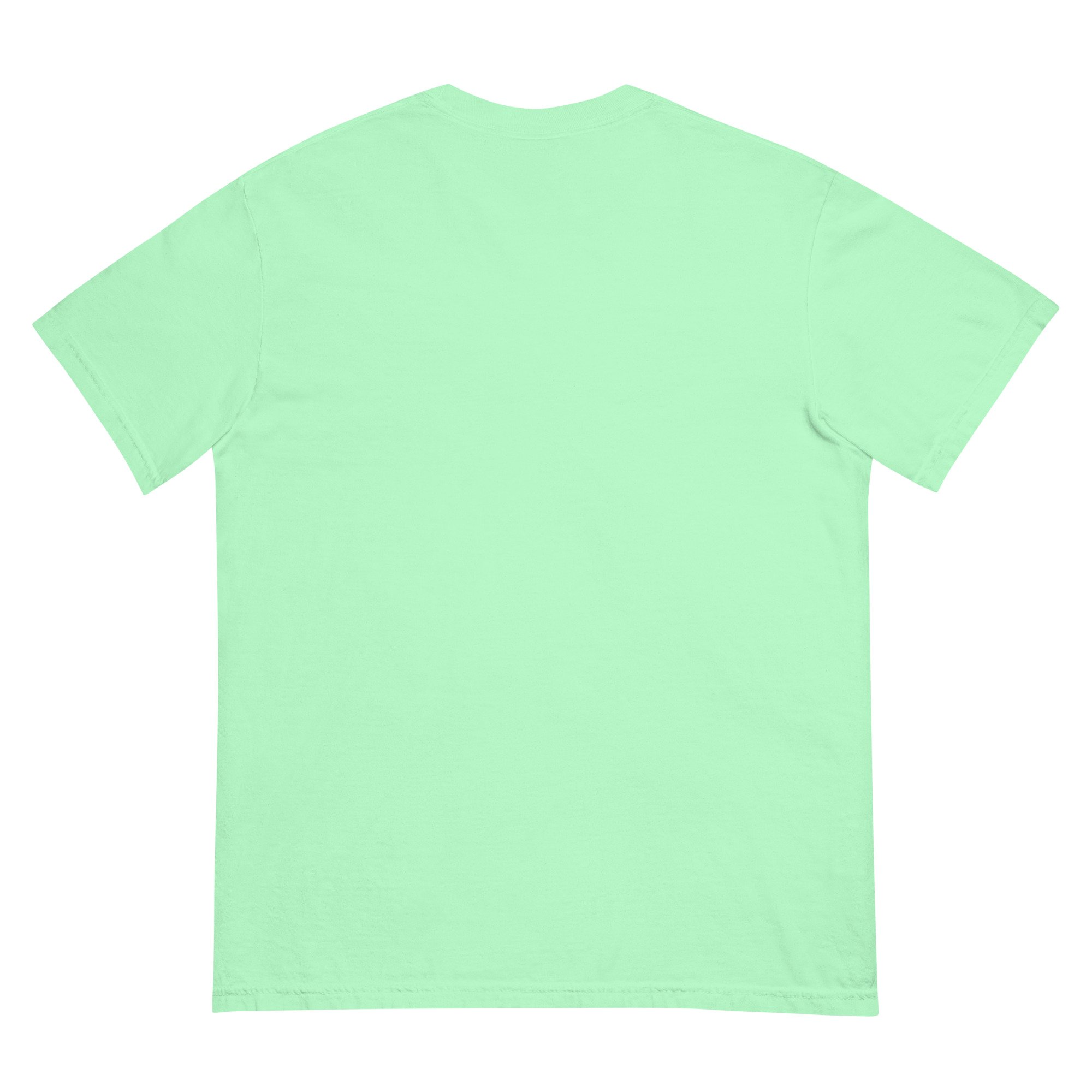 unisex-garment-dyed-heavyweight-t-shirt-island-reef-back-695d78d51edf1.jpg