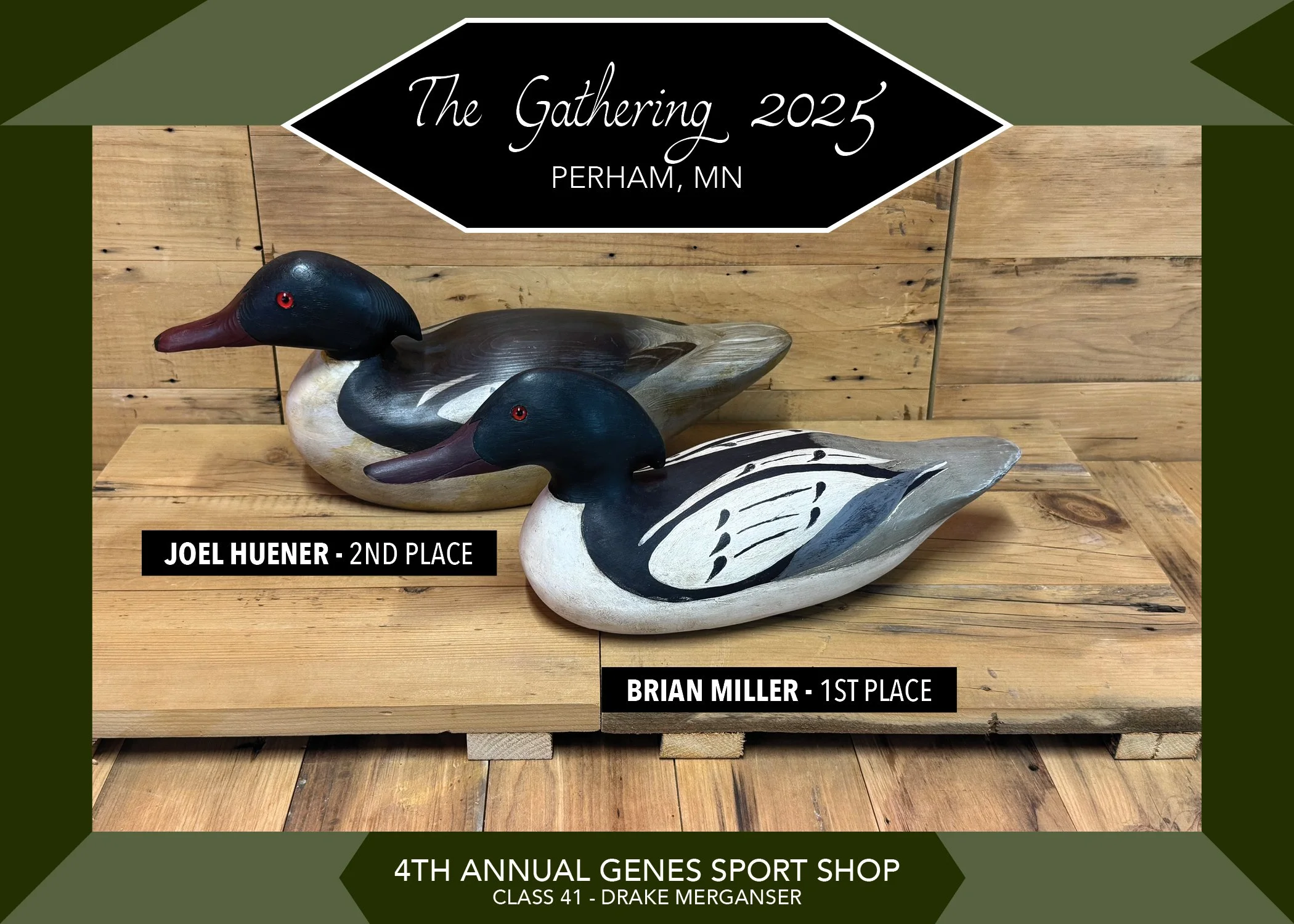 Class 41 - Lineup.jpg