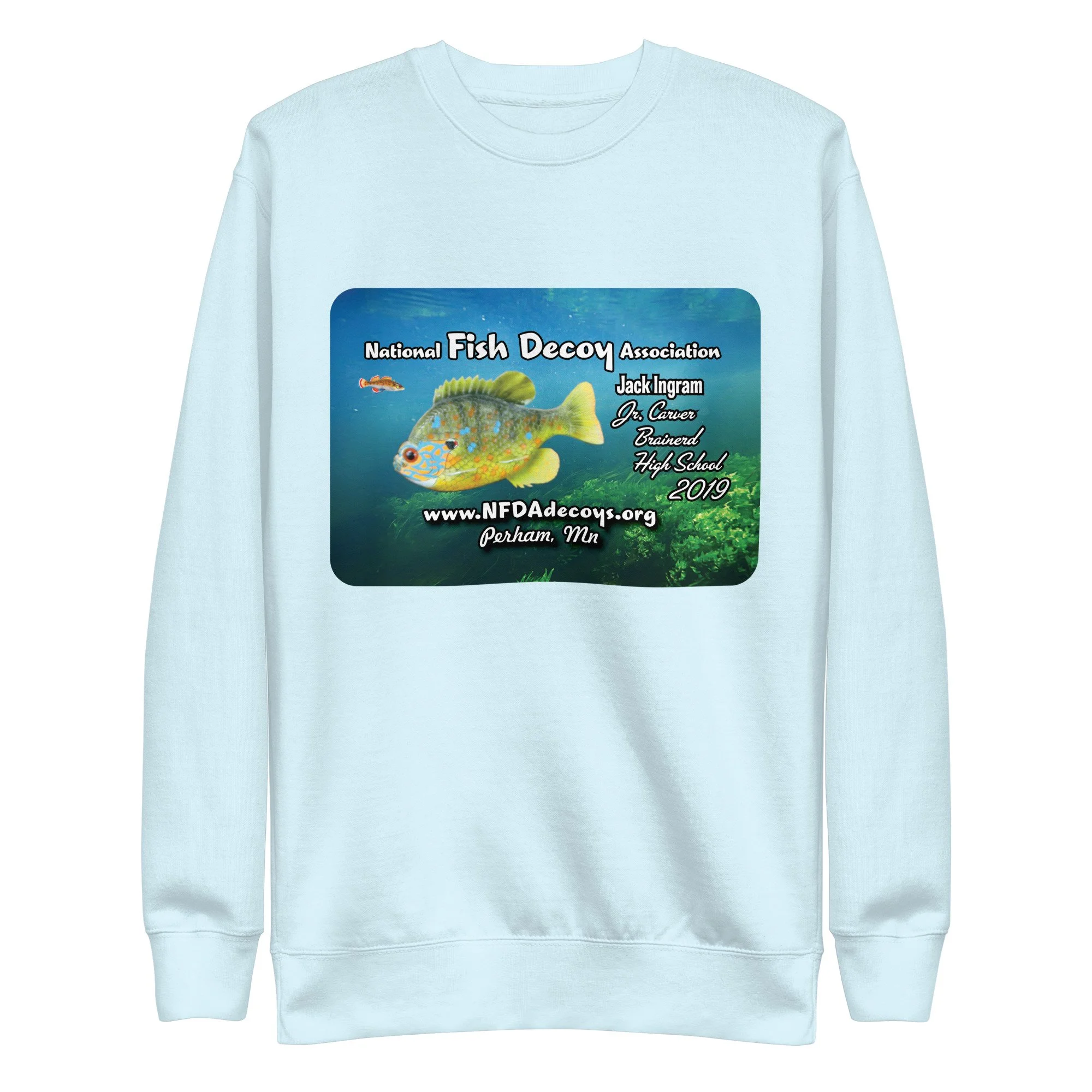 unisex-premium-sweatshirt-sky-blue-front-696e5ce7db53b.jpg